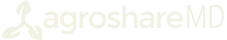 Element Christian Church Logo